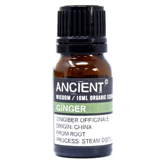 Organic Essential Oil 10ml Ginger
